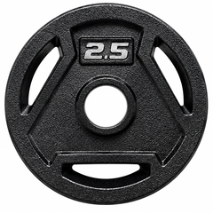 Angled 3-Hole Painted Weight Plates (Pair, 2.5–45 LB Each)-1