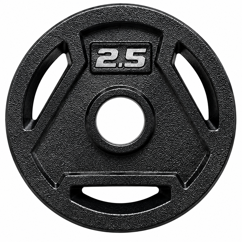 Angled 3-Hole Painted Weight Plates (Pair, 2.5–45 LB Each)-1