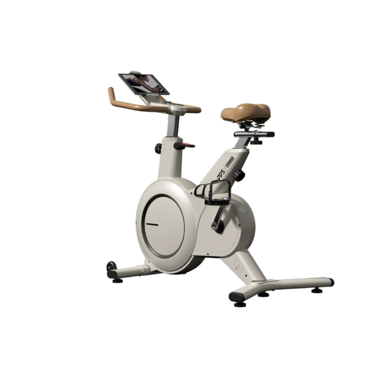 DDS | Magnetic Spinning Bike 9330