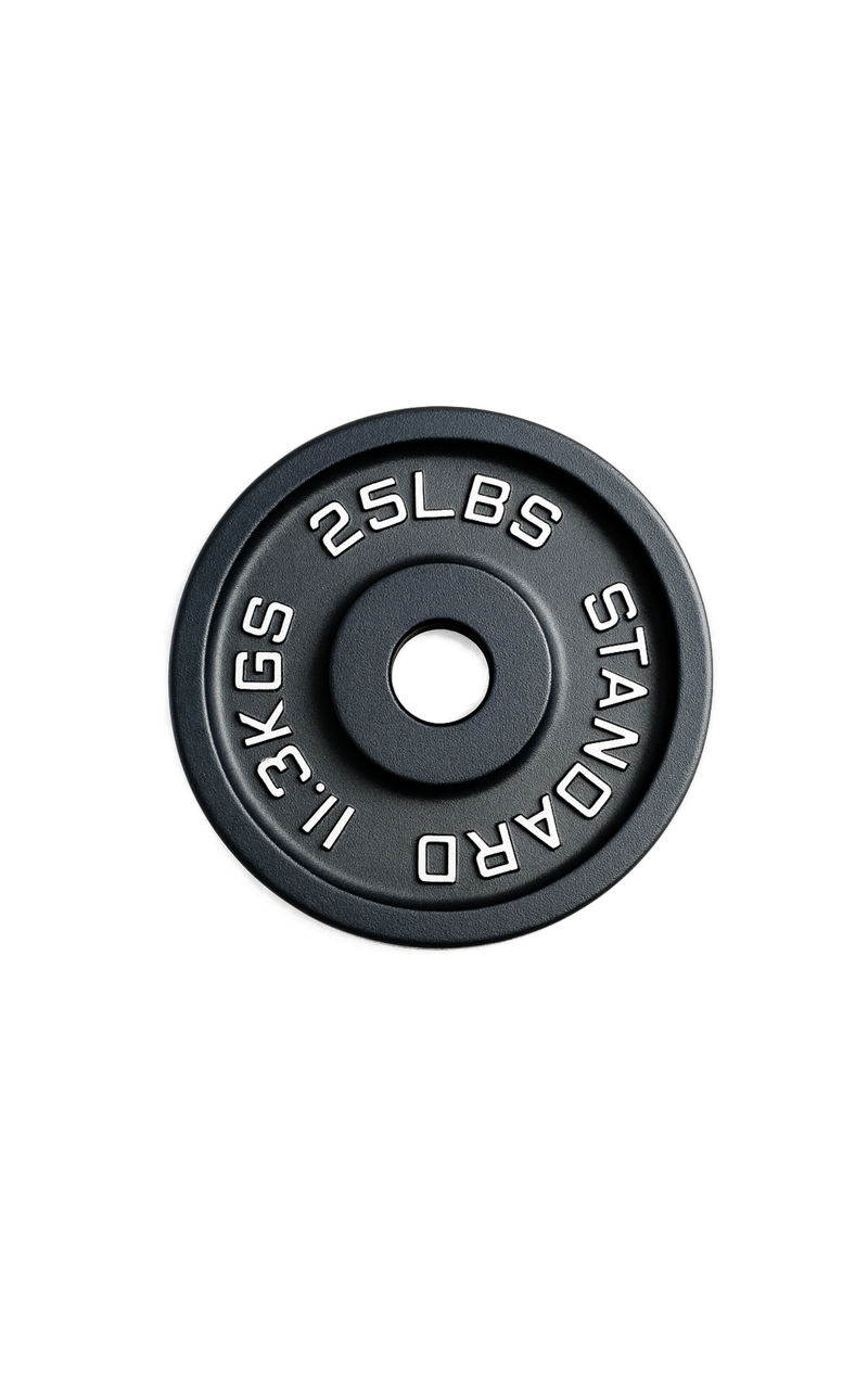 25 lb cast iron olympic plate fitness canada for progressive strength training