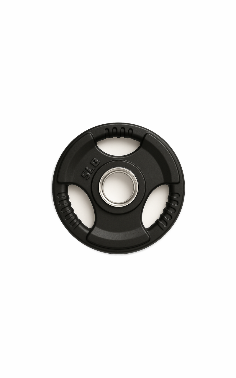 5 lb rubber grip olympic plate fitness canada with handles for home gym training